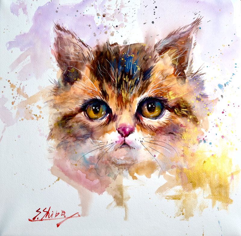 柴崎春道 2006 作品集 柴崎春道 2006 作品集 柴崎春道 2006 作品集 柴崎春道 2006 作品集